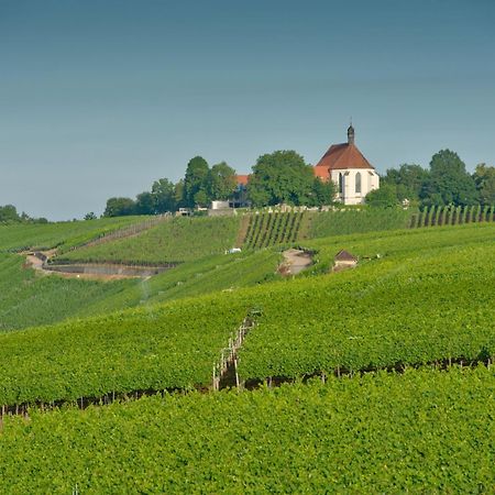 Vogelsburg Hotel Escherndorf Eksteriør billede