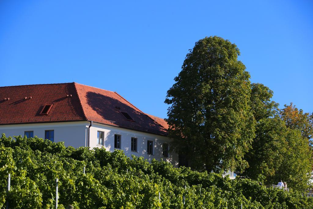 Vogelsburg Hotel Escherndorf Eksteriør billede