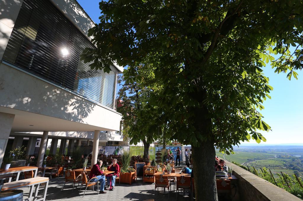 Vogelsburg Hotel Escherndorf Eksteriør billede
