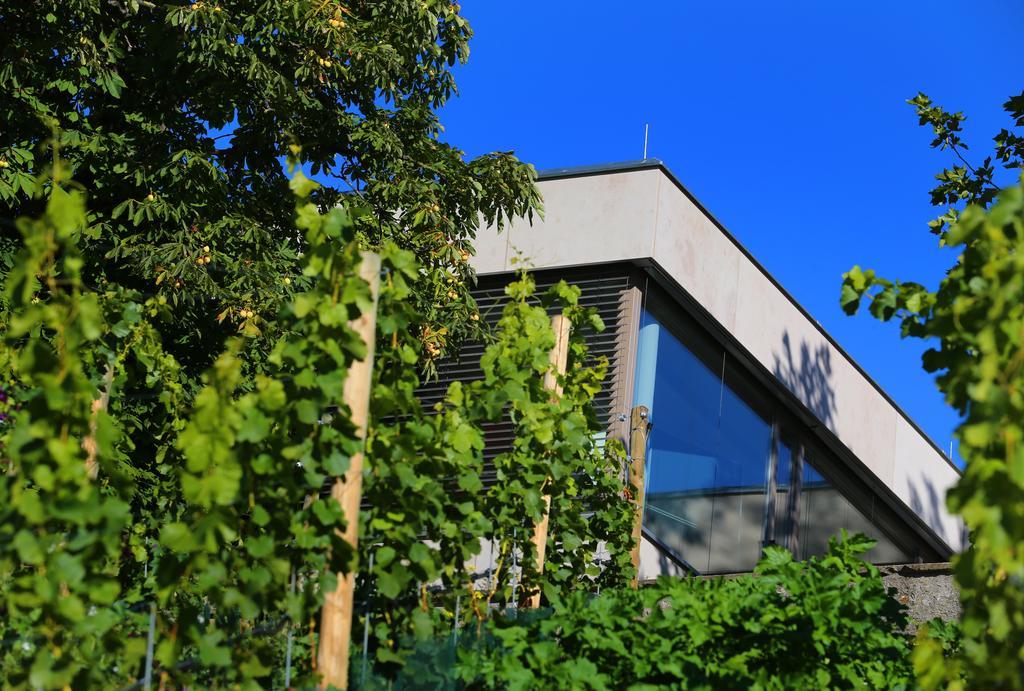 Vogelsburg Hotel Escherndorf Eksteriør billede
